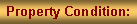 Text Box: Property Condition: